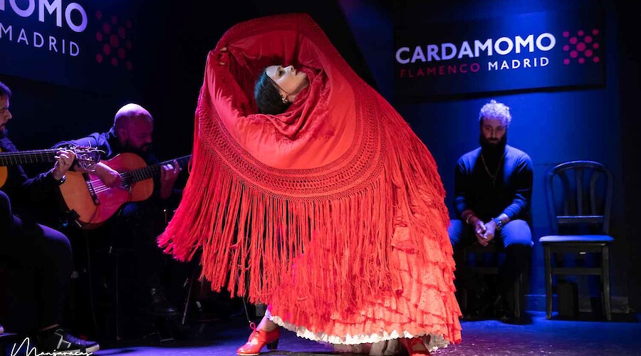 Paula Rodríguez Flamenco at FlamenGO 2024