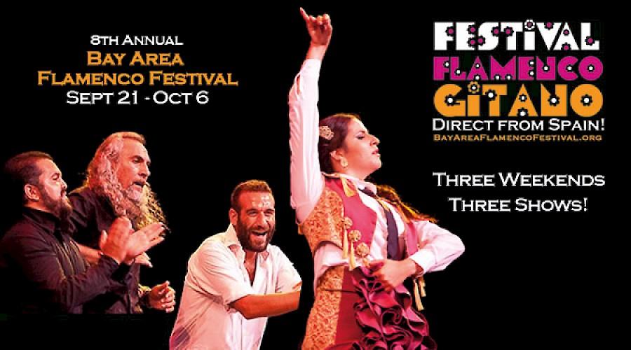 Festival Flamenco Gitano 2013