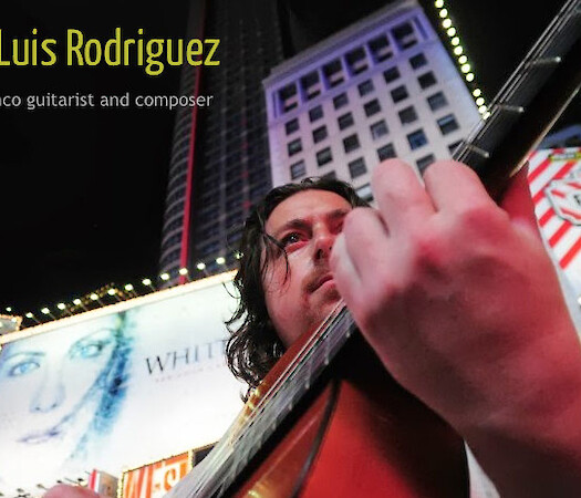 José Luis Rodriguez in concert