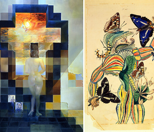 'Marvels of Illusion'