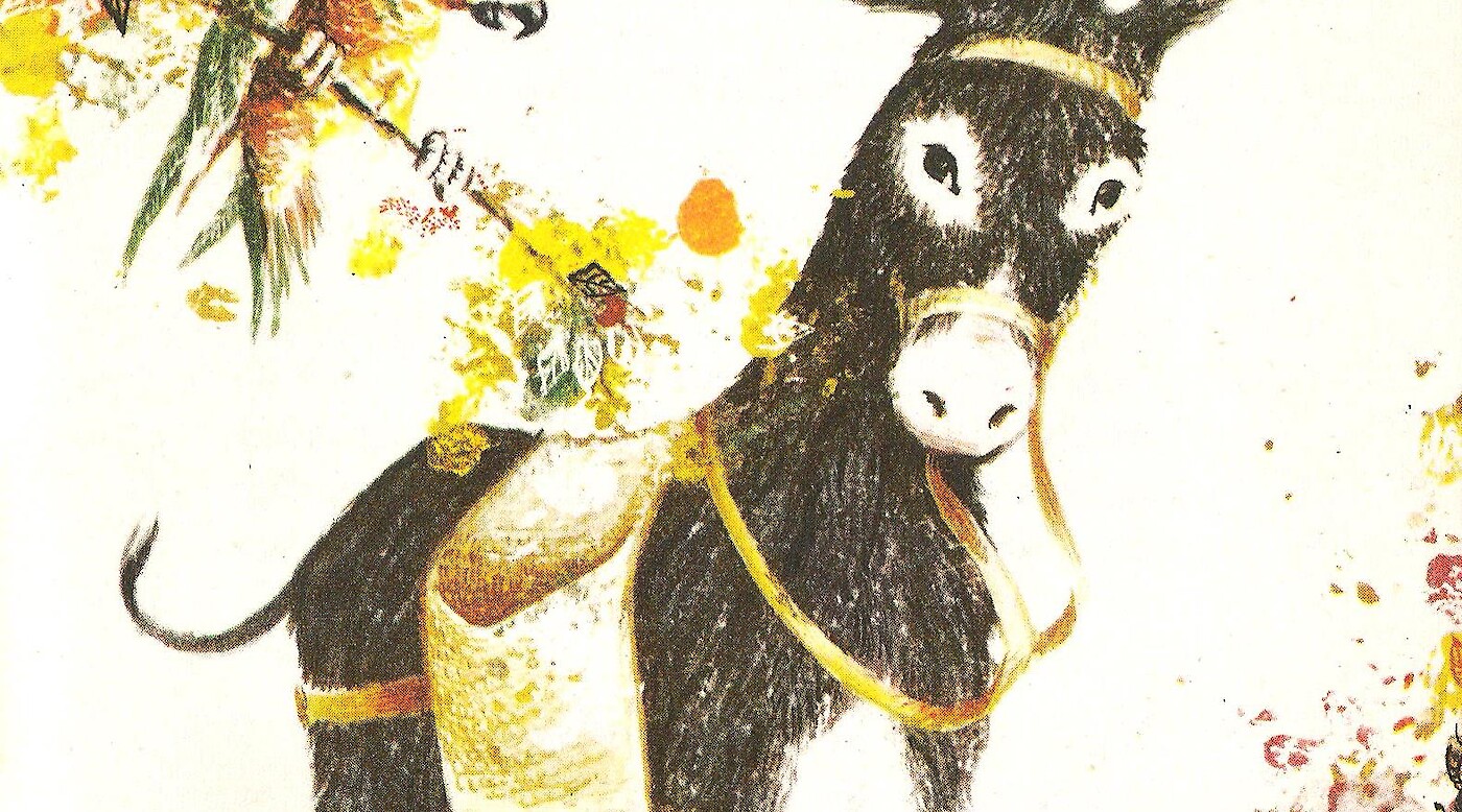 Mi Platero