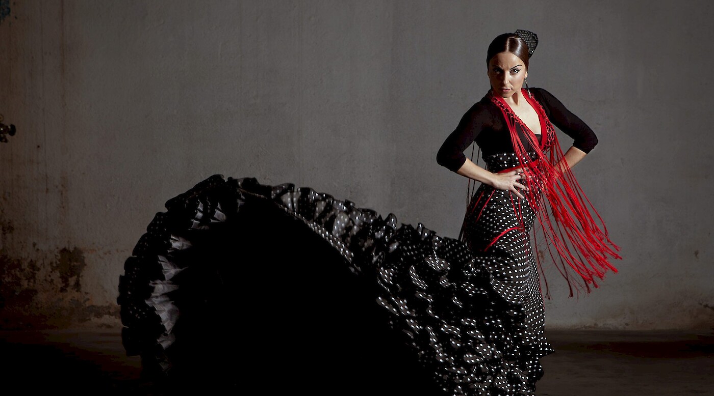 Casa Patas. 'Flamenco(s) de plomo y cobre'