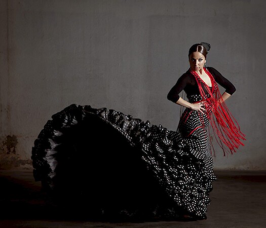 Casa Patas. 'Flamenco(s) de plomo y cobre'