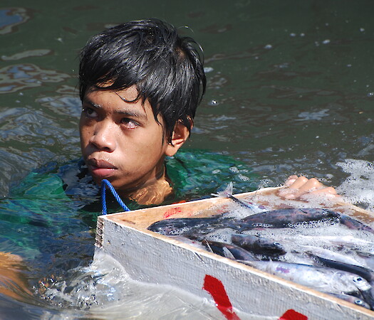 Ecusa's Scientific Lectures: Working with fishermen to recover the world’s fisheries