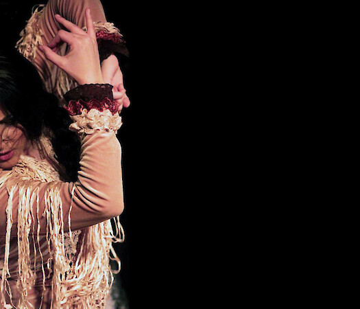 Generations of Gypsy Flamenco