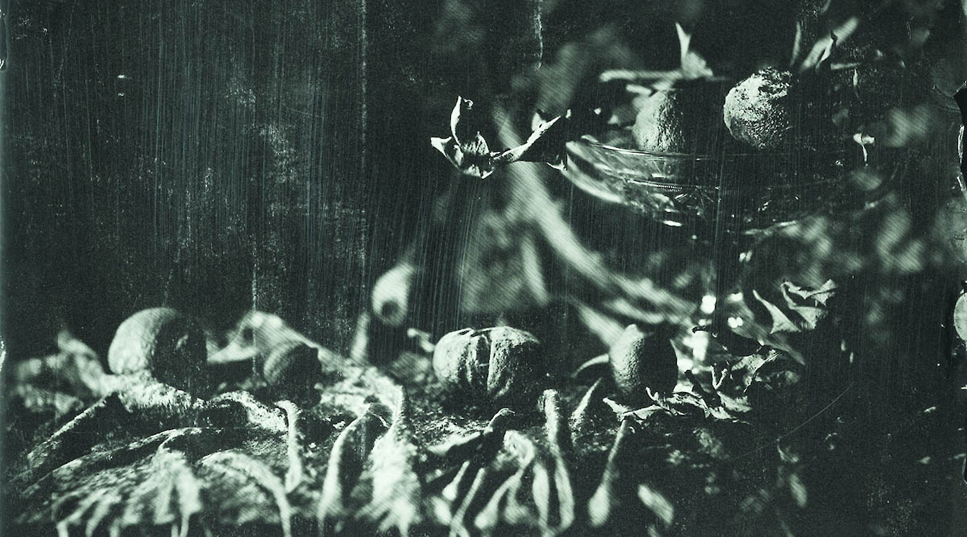 Miquel Salom. Ictum Olim III: Ambrotypes and Tintypes
