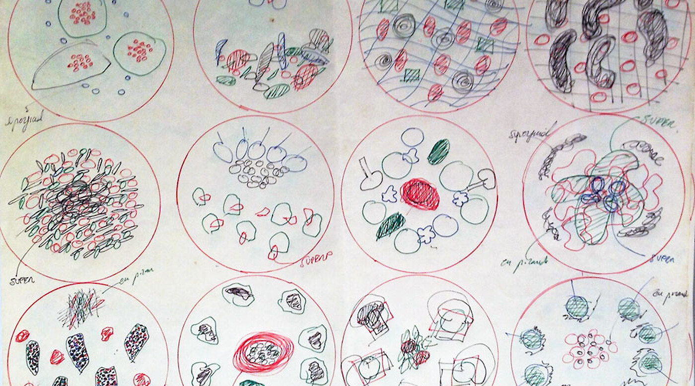 Ferran Adria: Notes on Creativity
