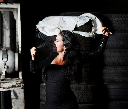 Flamenco Frequencies by Casa Patas in Ellensburg, WA