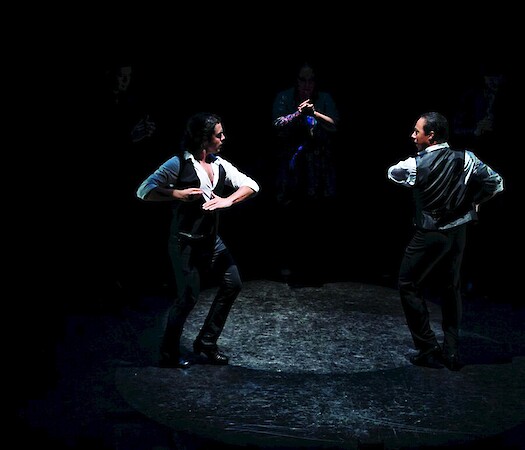 Flamenco Men II by Flamenco Aparicio Dance Company