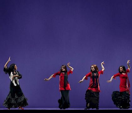 Caminos Flamencos: Yo. Soy. Flamenca.