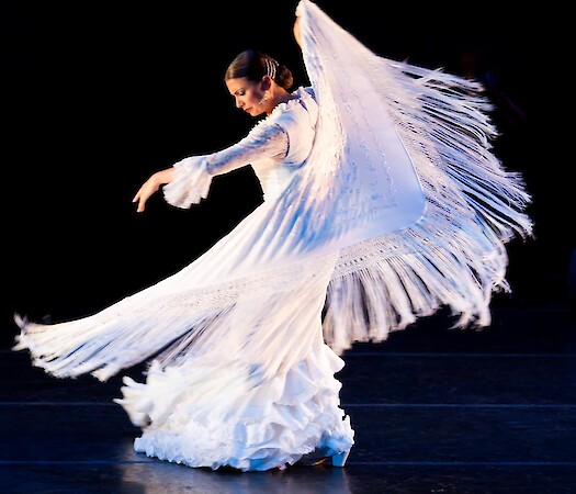 Houston Spanish & Flamenco Festival