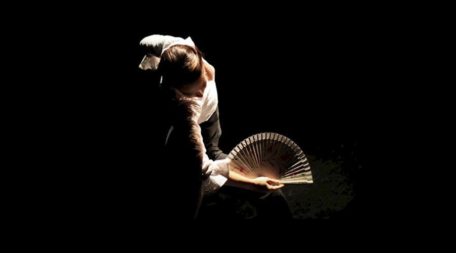 A Palo Seco Flamenco Company: Cinco por Cinco