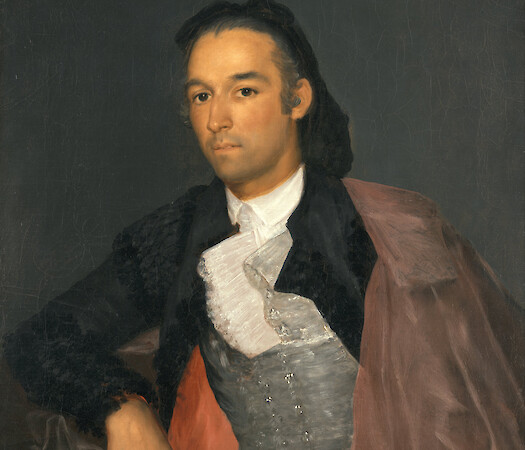 Goya: Mad Reason