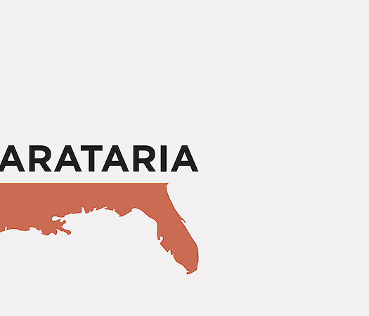 Back to Barataria
