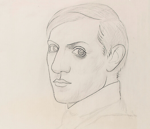Picasso: The Line