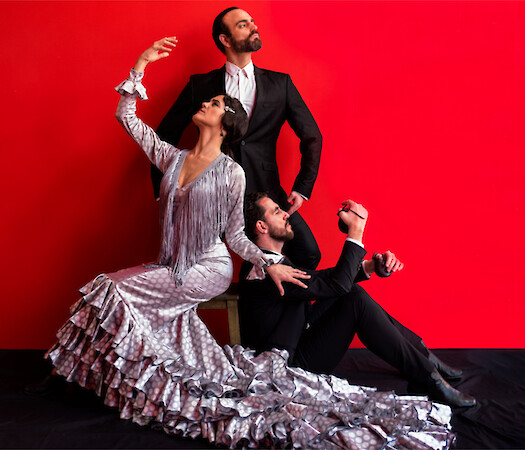 Los Silencios del Baile by Casa Patas Foundation in Miami