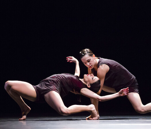 Alejandro Cerrudo at Hubbard Street Dance Fall Series