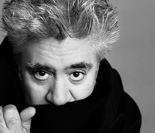 All About Almodóvar