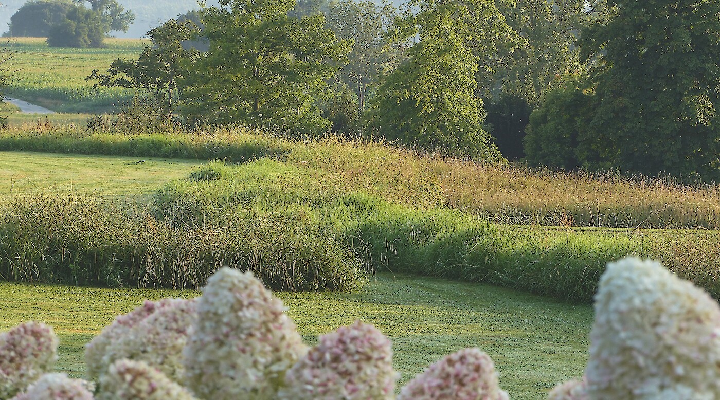Garden for the Senses
