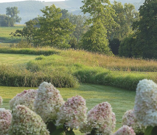 Garden for the Senses