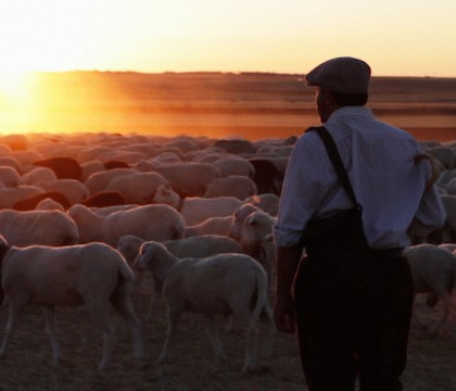 The Shepherd at The Environmental Film Festival