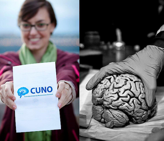 Late Night Science: Science in Spanish
