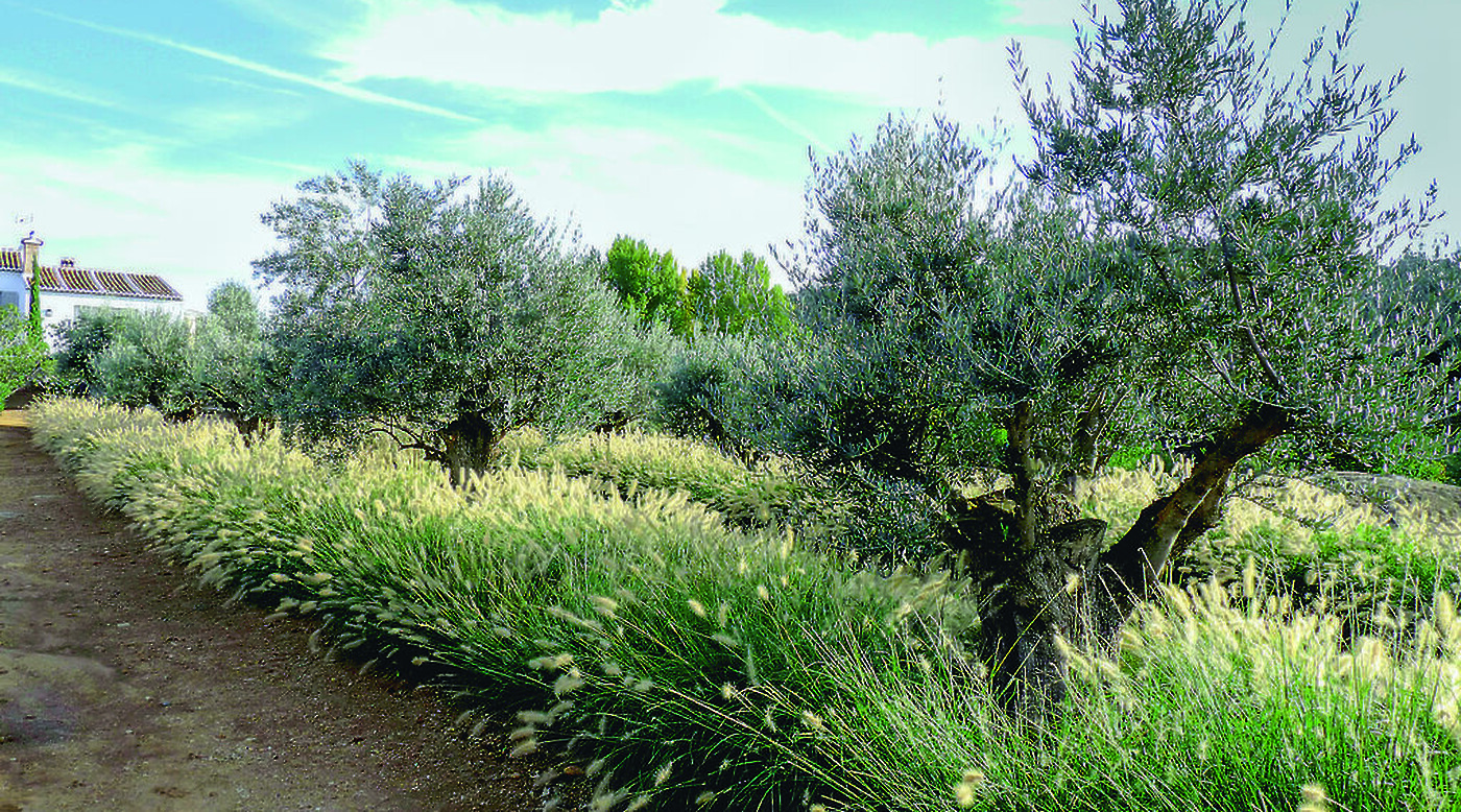 Gardens of the Senses