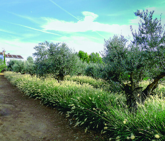 Gardens of the Senses