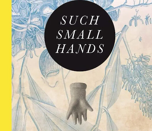 Such small hands by Andrés Barba