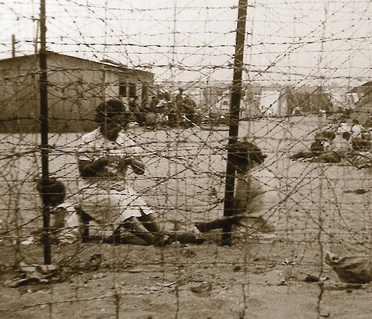 Between Barbed Wire and Exile. Spanish Sangrías and Vichy Therapies