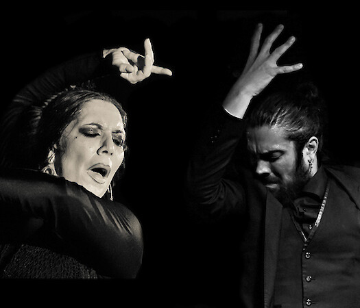 Flamenco Riot Festival