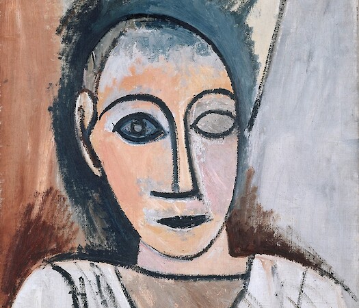 Through the Eyes of Picasso