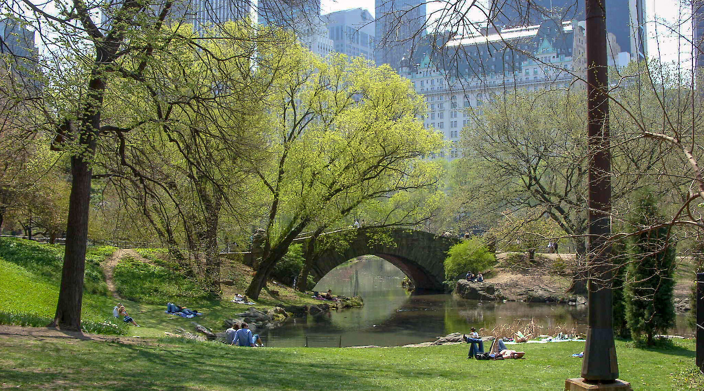 Design the first statue honoring women in Central Park