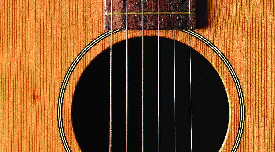 The Acoustic Guitar Project