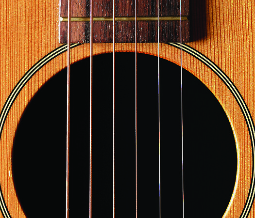 The Acoustic Guitar Project