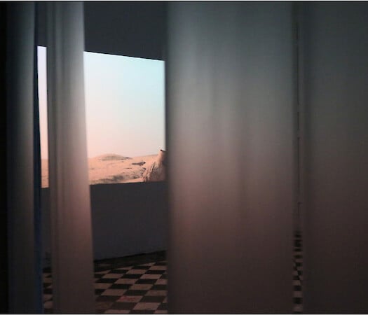 Curatorial Residency: Alejandro Alonso Diaz