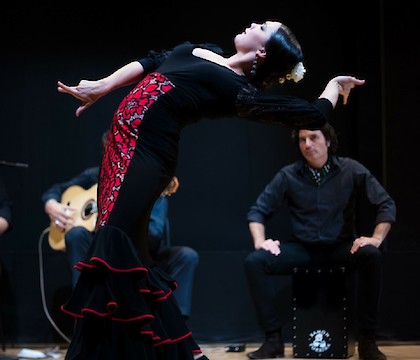 Flamenco Certamen USA 2018