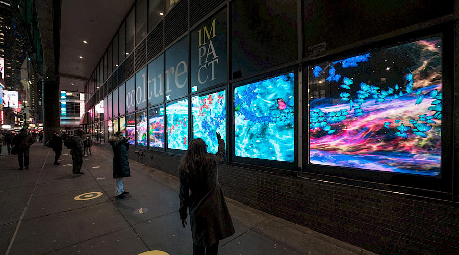 New York's leading role in the field of art in public spaces