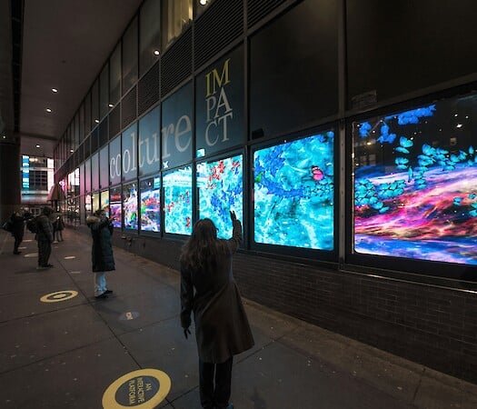 New York's leading role in the field of art in public spaces