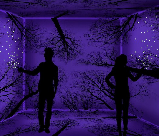 Illusion by Laia Cabrera and Isabelle Duverger at Flutter Experience