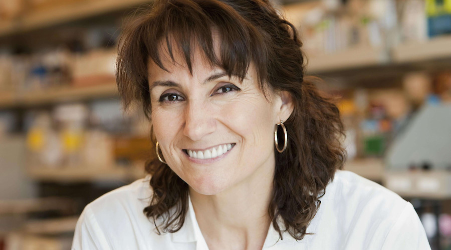 Brunch with molecular biologist Dr. Myriam Gorospe