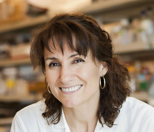 Brunch with molecular biologist Dr. Myriam Gorospe