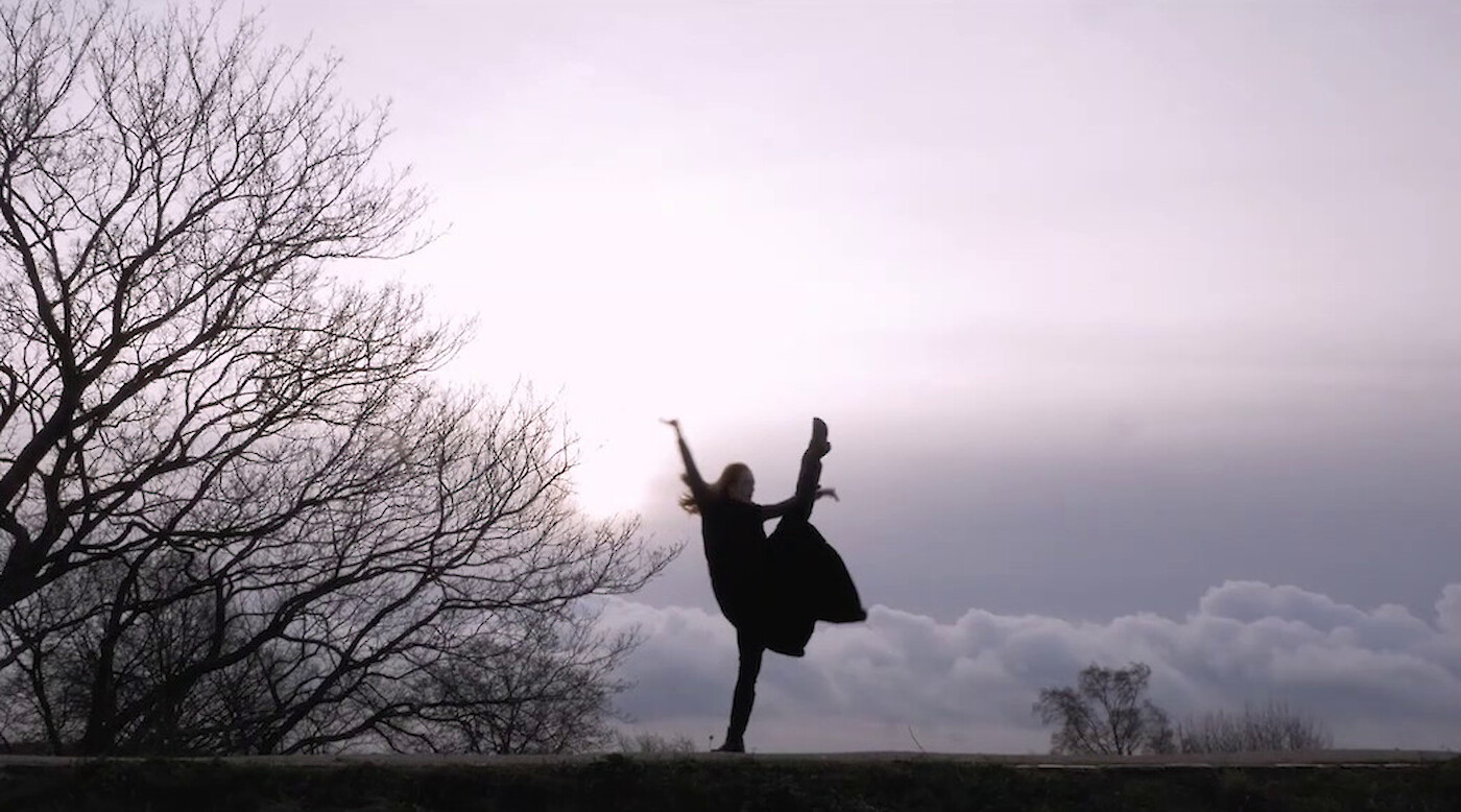 Danzantes at Divulge Dancers' Film Festival 2019