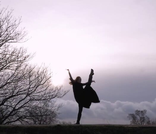 Danzantes at Divulge Dancers' Film Festival 2019