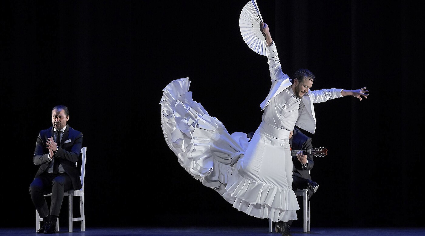2020 Flamenco Festival on Tour Boston A Spanish cultural event in