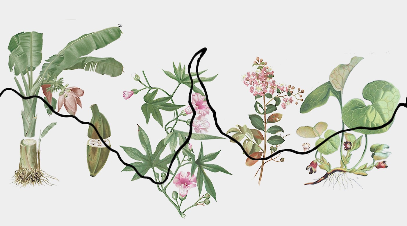 Around Nature: Panel discussions