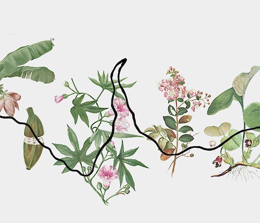 Around Nature: Panel discussions