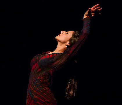 Herencia: A Flamenco Legacy