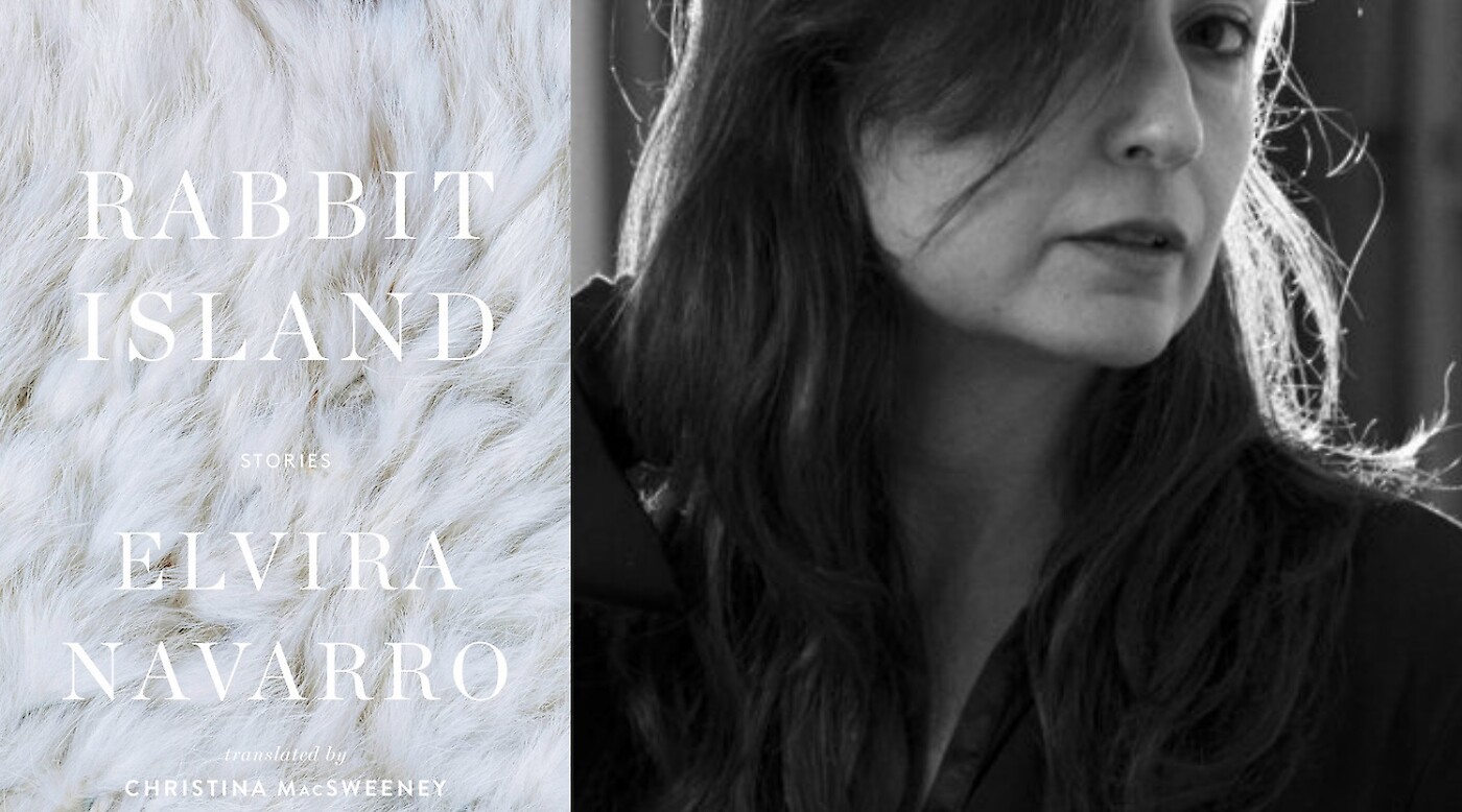 Spain Writes, America Reads: Rabbit Island by Elvira Navarro