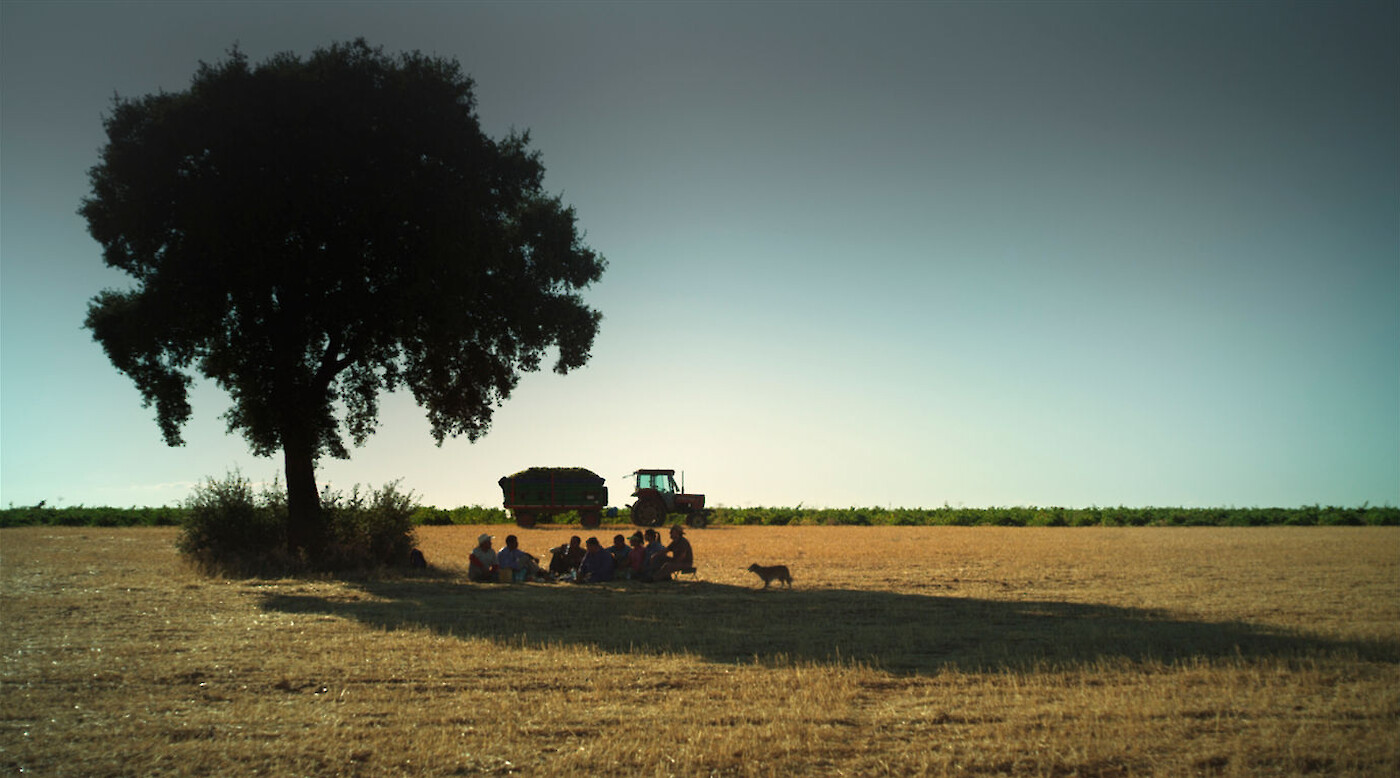 Movies with the Meadows: El Rayo (Hassan’s Way)